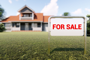 Buying Canberra Property at Auction: